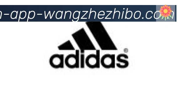 王者体育合作伙伴